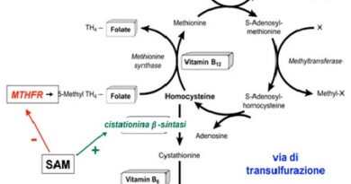 Predisposizione alla trombofilia e abortività